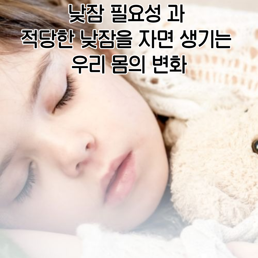 낮잠 필요성 과 적당한 낮잠을 자면 생기는 우리 몸의 변화 - 유토피아 블로그